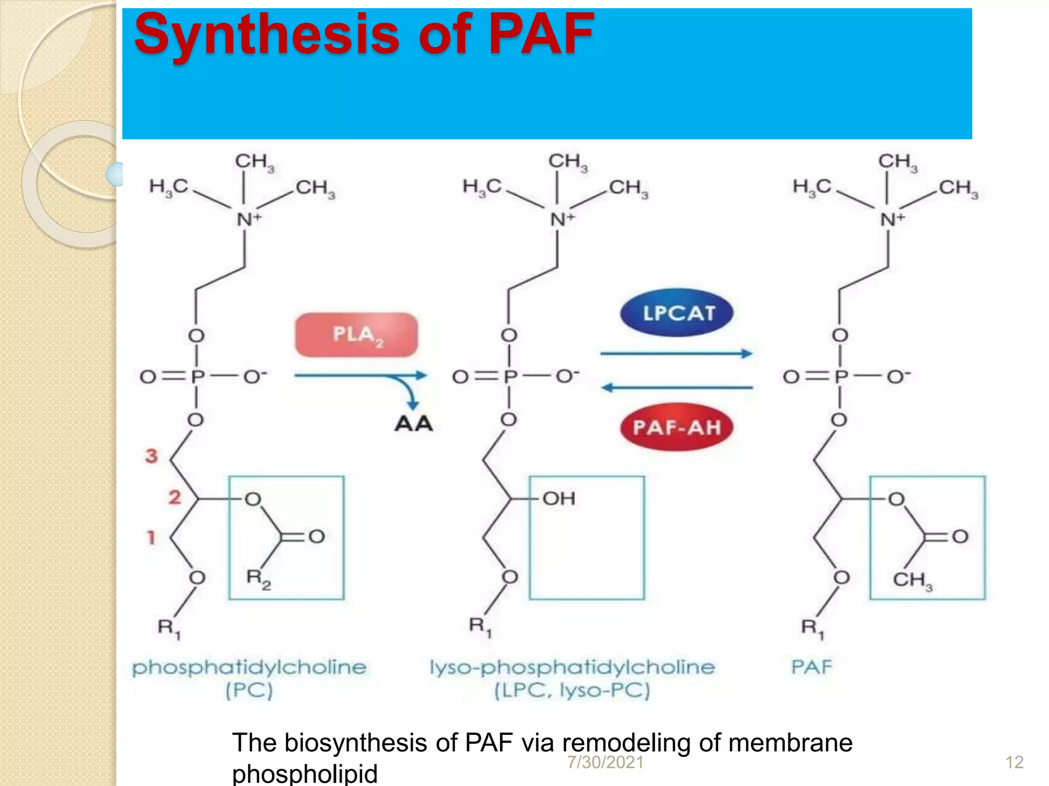PLATELET ACTIVATING FACTORS: MECHANISM OF ACTION AND CLINICAL USES | PPTX
