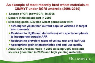CIMMYT breeding strategies and methodologies to breed high yielding ...