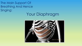 Your Diaphragm
The Main Support Of
Breathing And Hence
Singing:
 