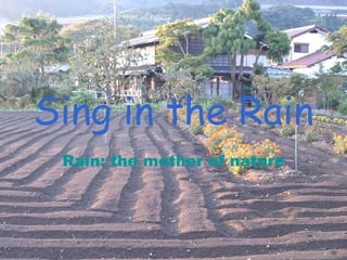 Sing in the Rain Rain: the mother of nature 