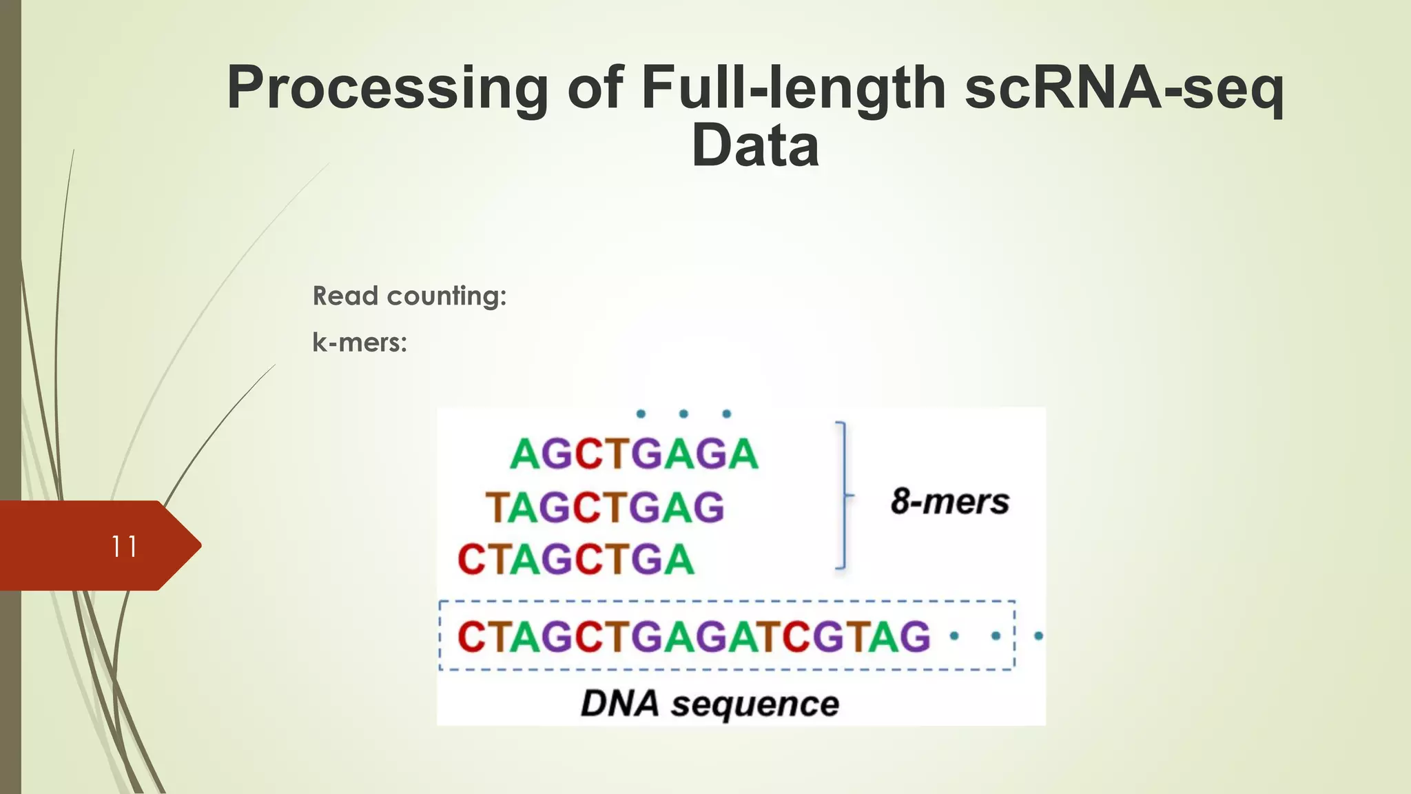 Read counting:
k-mers:
Processing of Full-length scRNA-seq
Data
11
 