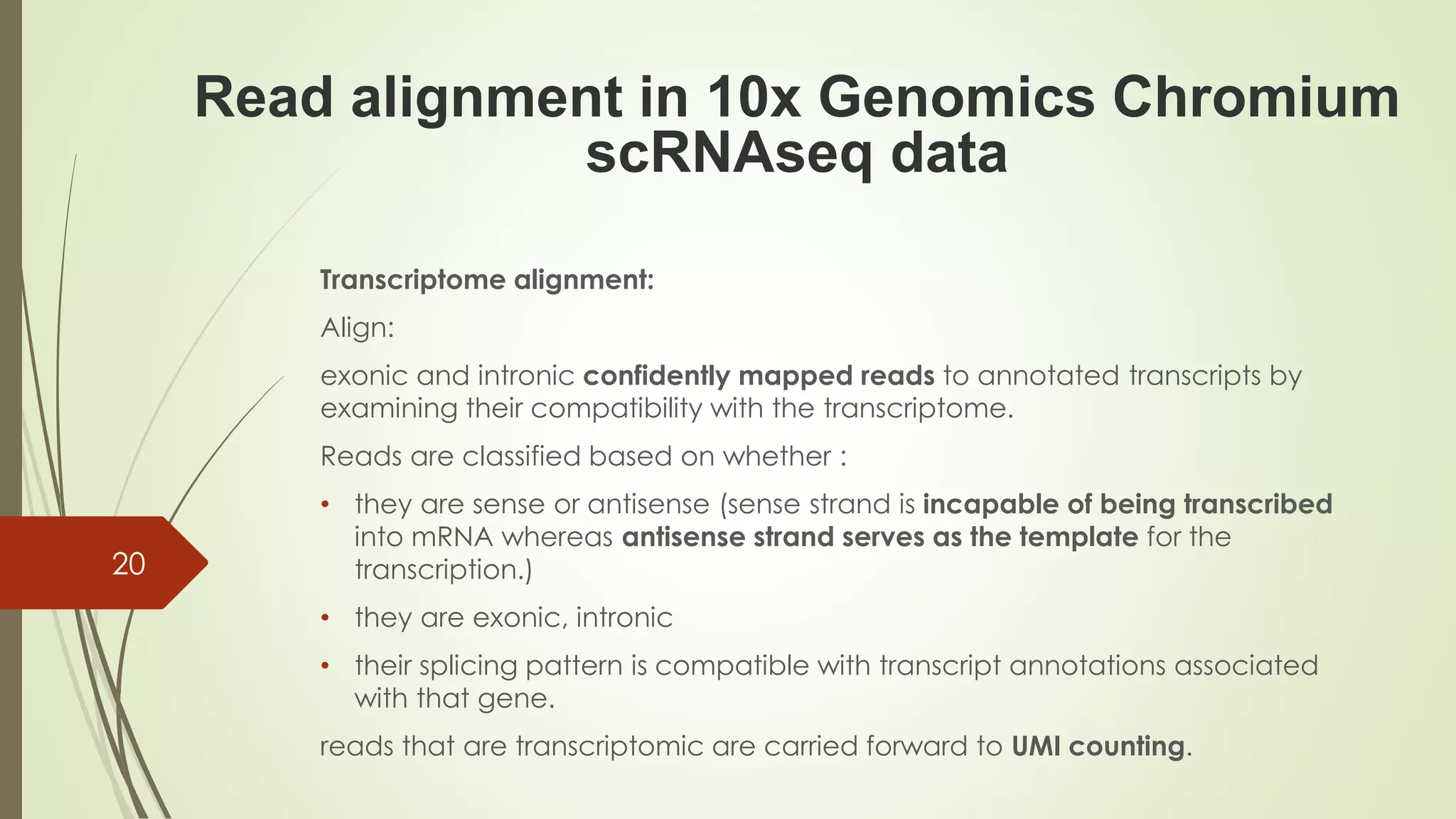 Transcriptome alignment:
Align:
exonic and intronic confidently mapped reads to annotated transcripts by
examining their compatibility with the transcriptome.
Reads are classified based on whether :
• they are sense or antisense (sense strand is incapable of being transcribed
into mRNA whereas antisense strand serves as the template for the
transcription.)
• they are exonic, intronic
• their splicing pattern is compatible with transcript annotations associated
with that gene.
reads that are transcriptomic are carried forward to UMI counting.
20
Read alignment in 10x Genomics Chromium
scRNAseq data
 