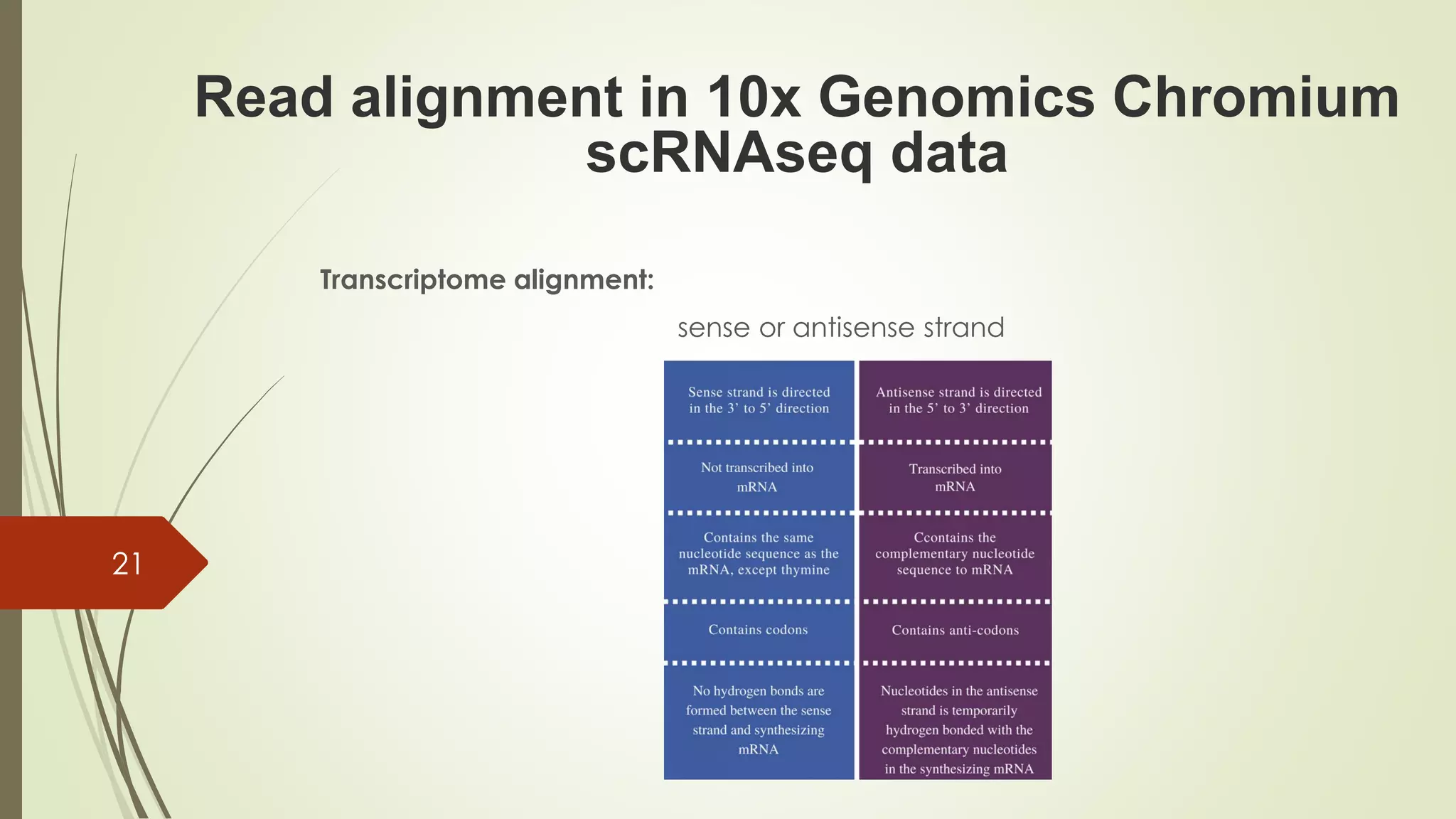 Transcriptome alignment:
sense or antisense strand
21
Read alignment in 10x Genomics Chromium
scRNAseq data
 