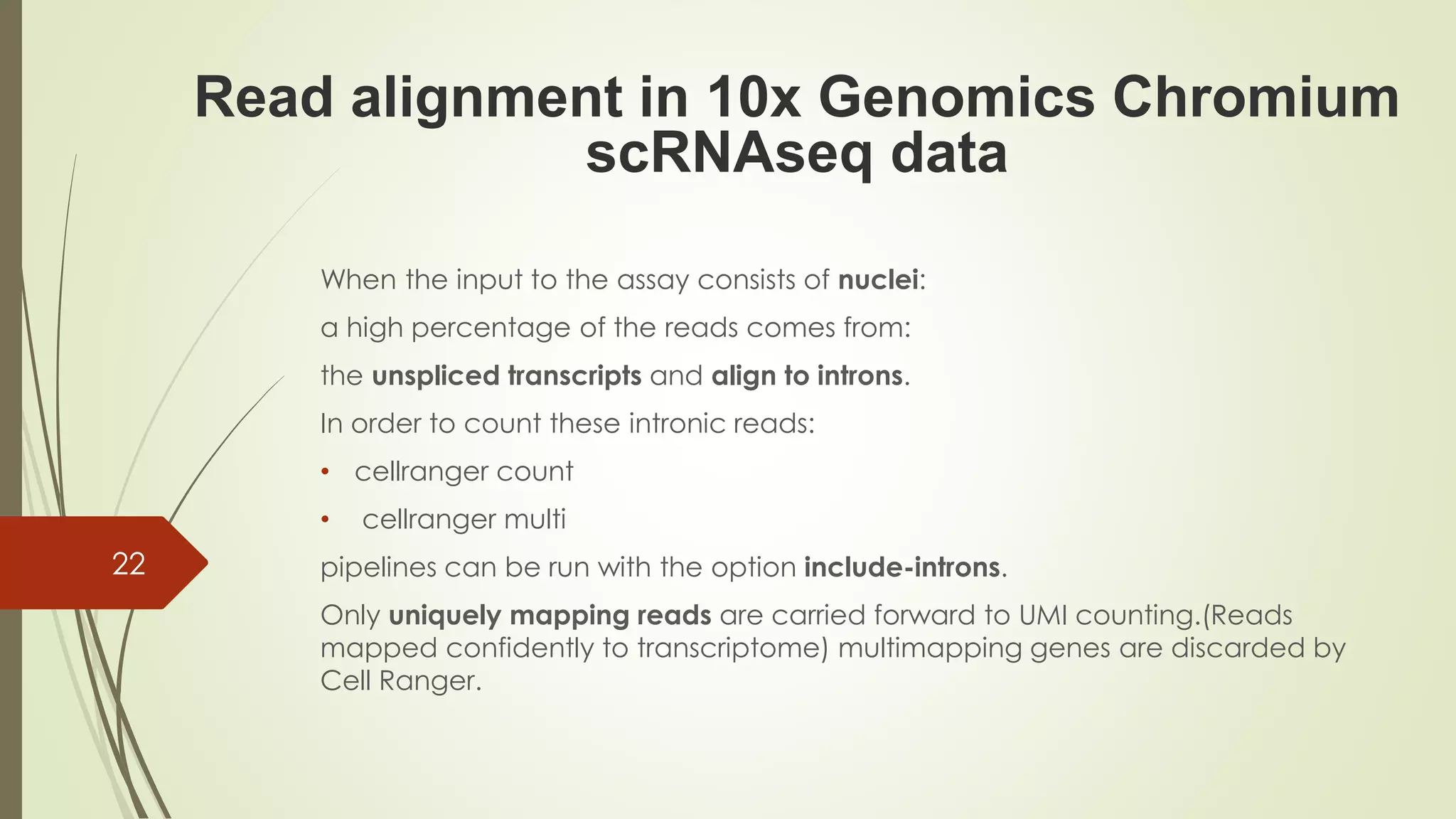When the input to the assay consists of nuclei:
a high percentage of the reads comes from:
the unspliced transcripts and align to introns.
In order to count these intronic reads:
• cellranger count
• cellranger multi
pipelines can be run with the option include-introns.
Only uniquely mapping reads are carried forward to UMI counting.(Reads
mapped confidently to transcriptome) multimapping genes are discarded by
Cell Ranger.
22
Read alignment in 10x Genomics Chromium
scRNAseq data
 