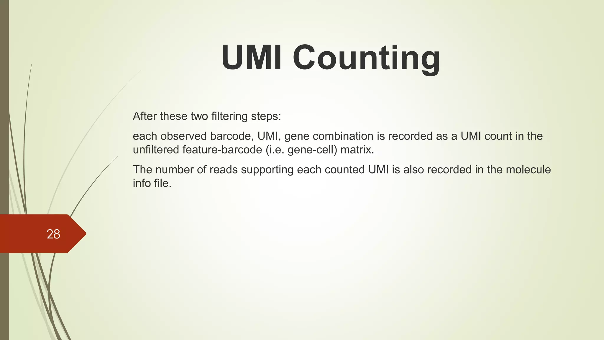 After these two filtering steps:
each observed barcode, UMI, gene combination is recorded as a UMI count in the
unfiltered feature-barcode (i.e. gene-cell) matrix.
The number of reads supporting each counted UMI is also recorded in the molecule
info file.
28
UMI Counting
 