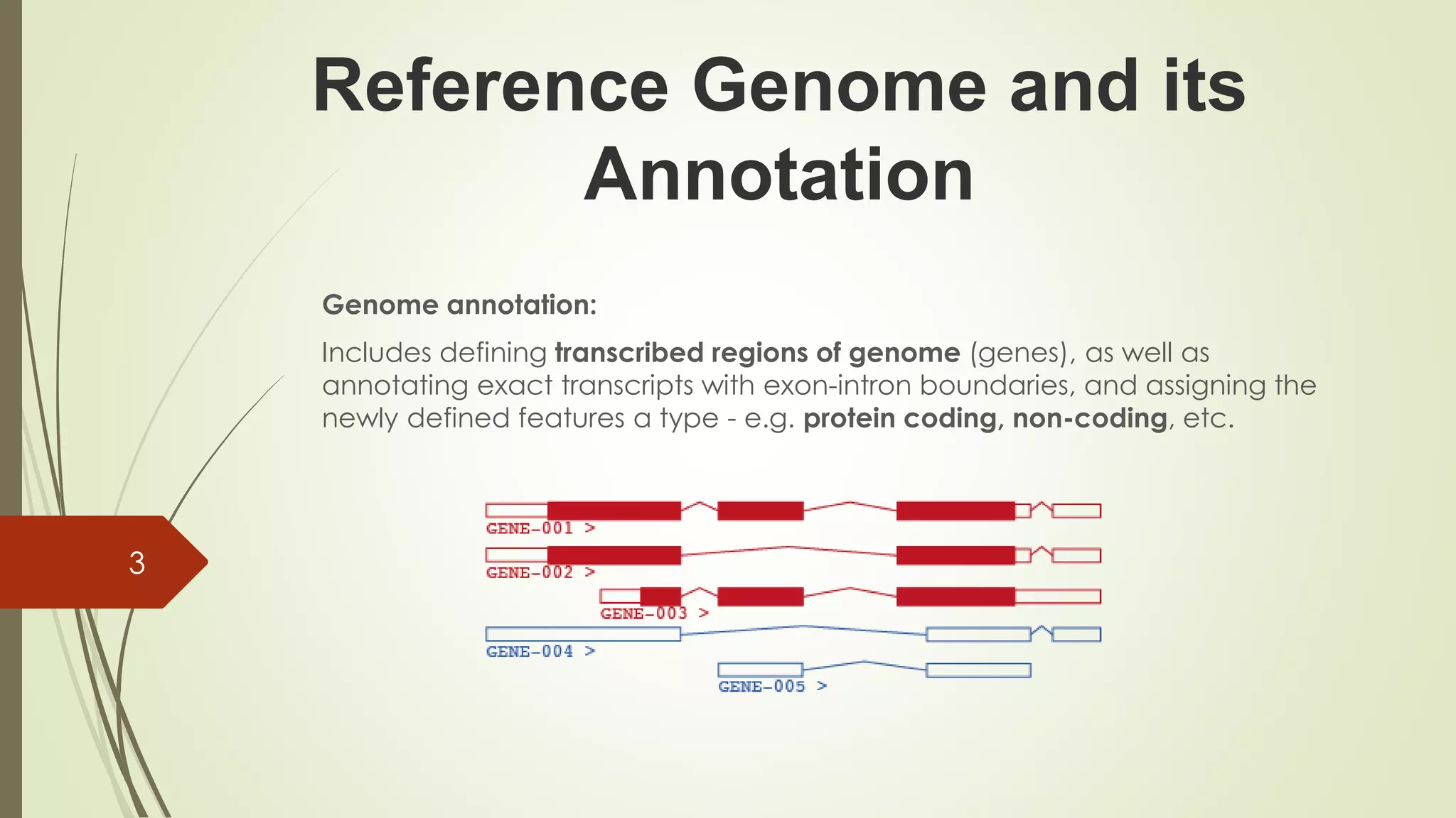 Reference Genome and its
Annotation
Genome annotation:
Includes defining transcribed regions of genome (genes), as well as
annotating exact transcripts with exon-intron boundaries, and assigning the
newly defined features a type - e.g. protein coding, non-coding, etc.
3
 