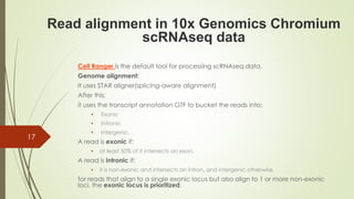 Cell Ranger is the default tool for processing scRNAseq data.
Genome alignment:
It uses STAR aligner(splicing-aware alignment)
After this:
it uses the transcript annotation GTF to bucket the reads into:
• Exonic
• Intronic
• Intergenic.
A read is exonic if:
• at least 50% of it intersects an exon.
A read is intronic if:
• it is non-exonic and intersects an intron, and intergenic otherwise.
for reads that align to a single exonic locus but also align to 1 or more non-exonic
loci, the exonic locus is prioritized.
17
Read alignment in 10x Genomics Chromium
scRNAseq data
 