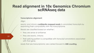 Transcriptome alignment:
Align:
exonic and intronic confidently mapped reads to annotated transcripts by
examining their compatibility with the transcriptome.
Reads are classified based on whether :
• they are sense or antisense
• they are exonic, intronic
• their splicing pattern is compatible with transcript annotations associated
with that gene.
reads that are transcriptomic are carried forward to UMI counting.
19
Read alignment in 10x Genomics Chromium
scRNAseq data
 