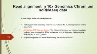 Cell Ranger Reference Preparation:
• Primary genome assembly versions (i.e. without the ALT loci) are used for the
alignment.
• Annotation GTF files are filtered. The following biotypes are retained: protein
coding, long noncoding RNA, antisense, and all biotypes belonging to
BCR/TCR (i.e. V/D/J) genes.
• All pseudogenes and small noncoding RNAs are removed.
23
Read alignment in 10x Genomics Chromium
scRNAseq data
 