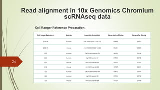 Cell Ranger Reference Preparation:
24
Read alignment in 10x Genomics Chromium
scRNAseq data
Cell Ranger Reference Species Assembly/Annotation Genes before filtering Genes after filtering
2020-A human GRCh38/GENCODE v32 60668 36601
2020-A mouse mm10/GENCODE vM23 55421 32285
3.0.0 human GRCh38/Ensembl 93 58395 33538
3.0.0 human hg19/Ensembl 87 57905 32738
3.0.0 mouse mm10/Ensembl 93 54232 31053
2.1.0 mouse mm10/Ensembl 84 47729 28692
1.2.0 human GRCh38/Ensembl 84 60675 33694
1.2.0 human hg19/Ensembl 82 57905 32738
1.2.0 mouse mm10/Ensembl 84 47729 27998
 
