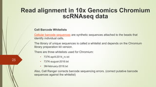 Cell Barcode Whitelists
Cellular barcode sequences are synthetic sequences attached to the beads that
identify individual cells.
The library of unique sequences is called a whitelist and depends on the Chromium
library preparation kit version.
There are three whitelists used for Chromium:
• 737K-april-2014_rc.txt
• 737K-august-2016.txt
• 3M-february-2018.txt
Also, Cell Ranger corrects barcode sequencing errors. (correct putative barcode
sequences against the whitelist)
25
Read alignment in 10x Genomics Chromium
scRNAseq data
 