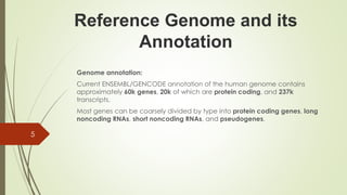 Reference Genome and its
Annotation
Genome annotation:
Current ENSEMBL/GENCODE annotation of the human genome contains
approximately 60k genes, 20k of which are protein coding, and 237k
transcripts.
Most genes can be coarsely divided by type into protein coding genes, long
noncoding RNAs, short noncoding RNAs, and pseudogenes.
5
 
