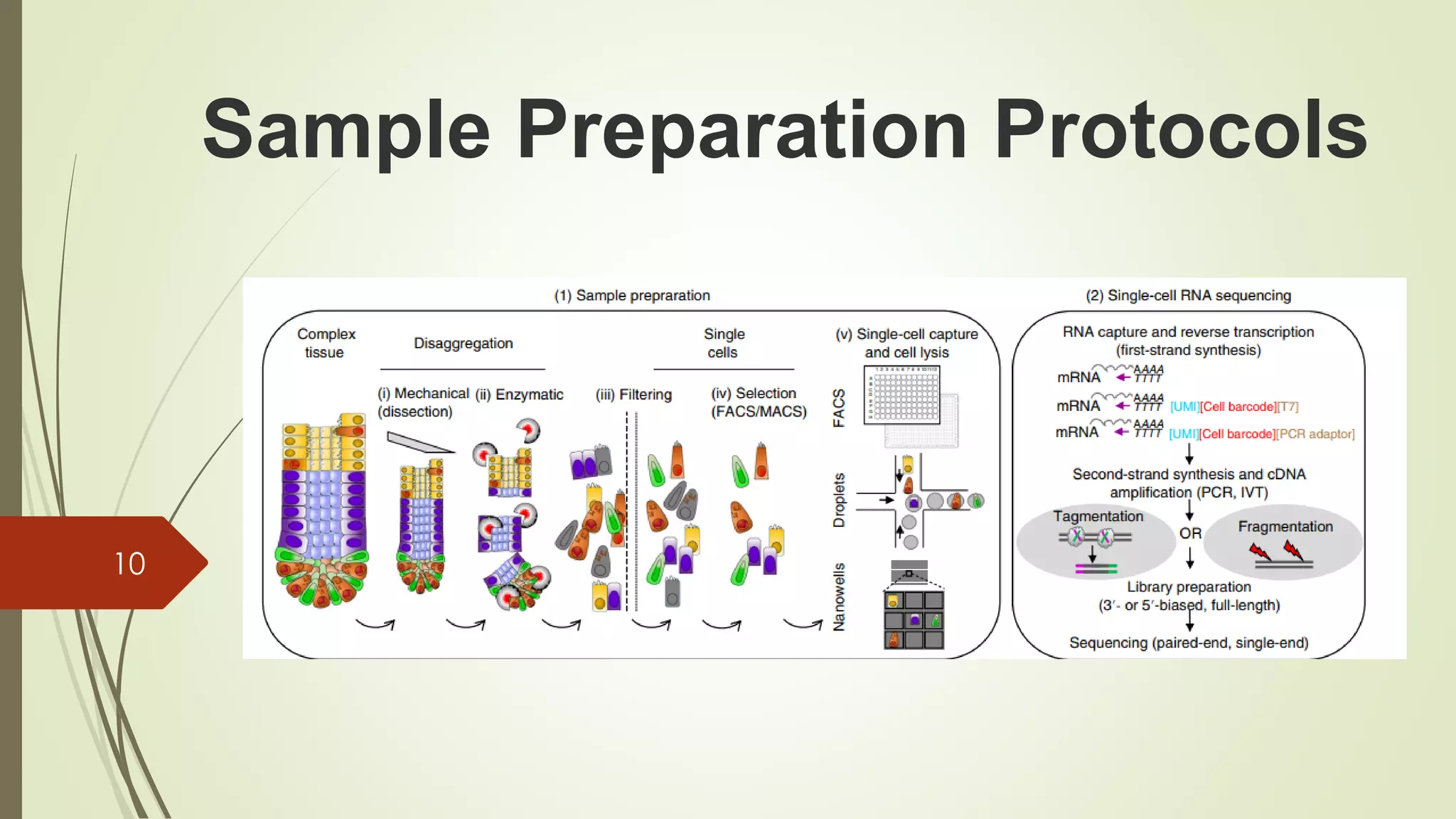 Sample Preparation Protocols
10
 
