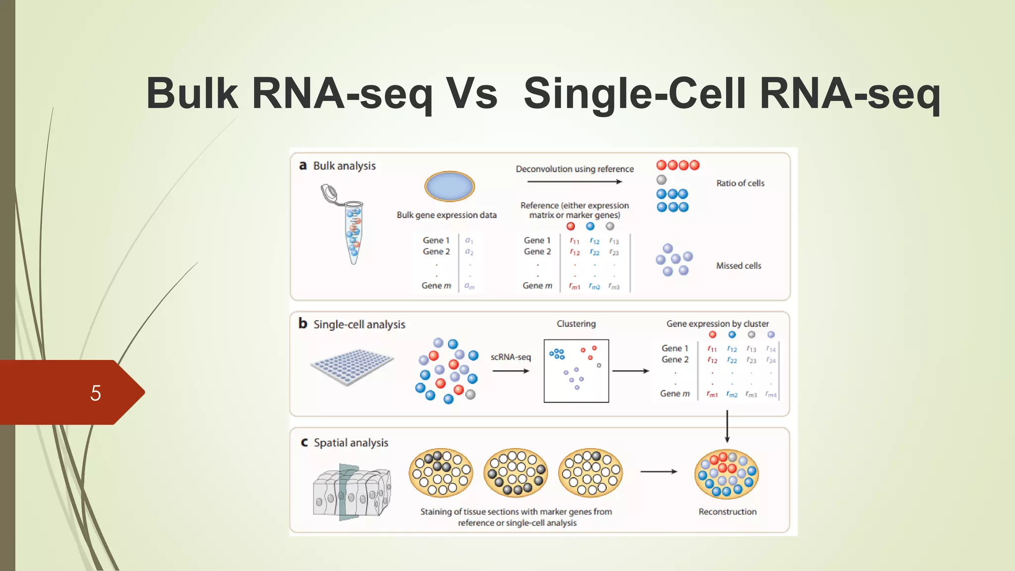 5
Bulk RNA-seq Vs Single-Cell RNA-seq
 
