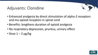 Adjuvants: Clonidine
• Enhanced analgesia by direct stimulation of alpha-2 receptors
and mu opioid receptors in spinal cord
• Benefits: lengthens duration of opioid analgesia
• No respiratory depression, pruritus, urinary effect
• Dose 1 – 2 µg/kg
 