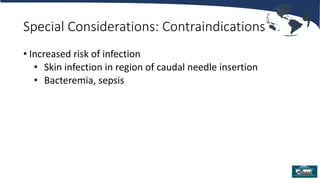Special Considerations: Contraindications
• Increased risk of infection
• Skin infection in region of caudal needle insertion
• Bacteremia, sepsis
 