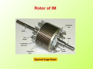 Squirrel Cage Rotor
Rotor of IM
 