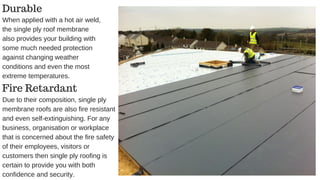 single-ply-roofing-pdf
