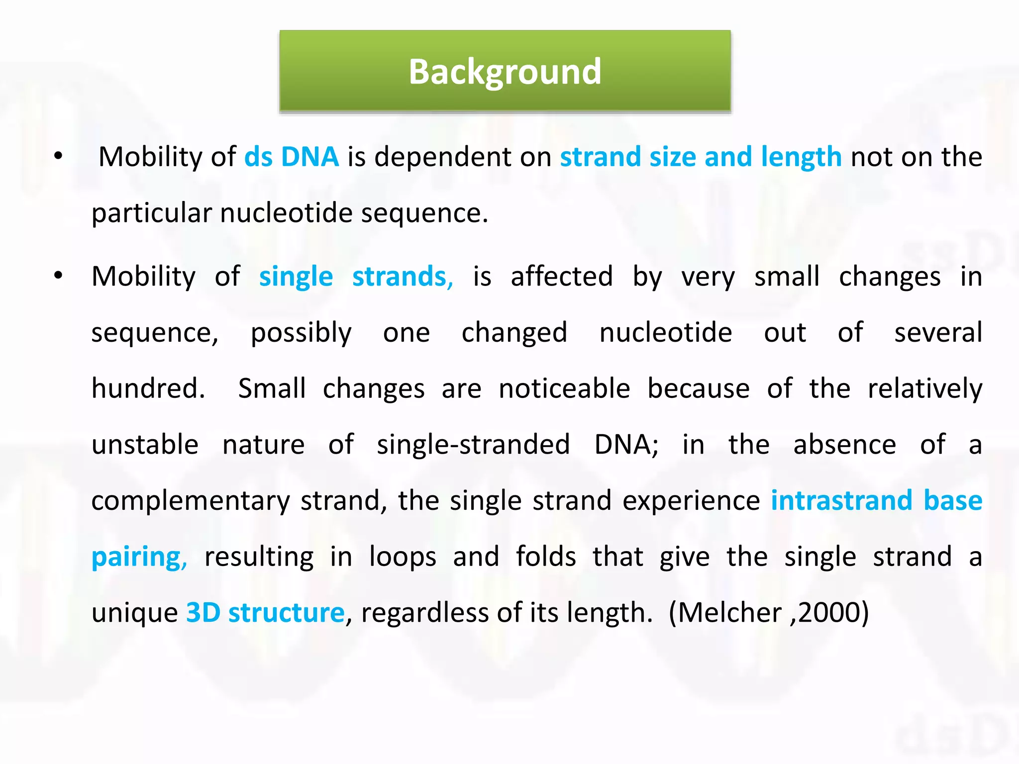 Background
• Mobility of ds DNA is dependent on strand size and length not on the
particular nucleotide sequence.
• Mobility of single strands, is affected by very small changes in
sequence, possibly one changed nucleotide out of several
hundred. Small changes are noticeable because of the relatively
unstable nature of single-stranded DNA; in the absence of a
complementary strand, the single strand experience intrastrand base
pairing, resulting in loops and folds that give the single strand a
unique 3D structure, regardless of its length. (Melcher ,2000)
 