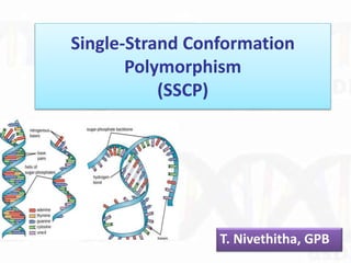 Single-Strand Conformation
Polymorphism
(SSCP)
T. Nivethitha, GPB
 