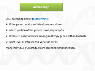 Advantage
SSCP screening allows to determine:
 if the gene contains sufficient polymorphism.
 which portion of the gene is most polymorphic
 if there is polymorphism among multicopy genes with individuals.
 what level of intraspecific variation exists.
Many individual PCR products are screened simultaneously.
 