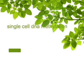 Single cell dna methylation | PPT