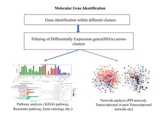 Single Cell Omics Driven Therapeutic.pptx