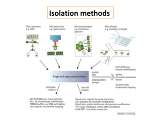 Single cell profiling in crop plants | PPT