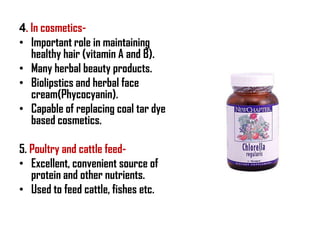 4. In cosmetics-
• Important role in maintaining
   healthy hair (vitamin A and B).
• Many herbal beauty products.
• Biolipstics and herbal face
   cream(Phycocyanin).
• Capable of replacing coal tar dye
   based cosmetics.

5. Poultry and cattle feed-
• Excellent, convenient source of
   protein and other nutrients.
• Used to feed cattle, fishes etc.
 