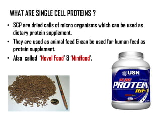 WHAT ARE SINGLE CELL PROTEINS ?
• SCP are dried cells of micro organisms which can be used as
  dietary protein supplement.
• They are used as animal feed & can be used for human feed as
  protein supplement.
• Also called ‘Novel Food’ & ‘Minifood’.
 