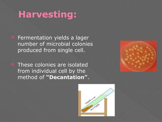 Harvesting:
 Fermentation yields a lager
number of microbial colonies
produced from single cell.
 These colonies are isolated
from individual cell by the
method of “Decantation”.
 