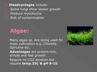 Algae:
 Disadvantages include:
1. Some fungi show slower growth
2. Produce mycotoxins
3. Risk of contamination
o Many algae sp. Are being used for
mass cultivation e.g. Chorella,
Spirulina etc.
o Advantages are protein-rich,
simple and fast growth.
o Require no CO2 aeration but
require temp.25C & pH 8-10.
 