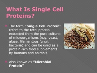 What Is Single Cell
Proteins?
 The term “Single Cell Protein”
refers to the total protein
extracted from the pure cultures
of microorganisms (e.g. yeast,
algae, filamentous fungi,
bacteria) and can be used as a
protein-rich food supplements
by humans and animals.
 Also known as ”Microbial
Protein”
 