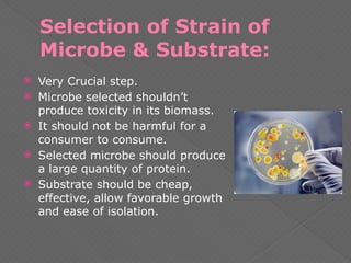 Selection of Strain of
Microbe & Substrate:
 Very Crucial step.
 Microbe selected shouldn’t
produce toxicity in its biomass.
 It should not be harmful for a
consumer to consume.
 Selected microbe should produce
a large quantity of protein.
 Substrate should be cheap,
effective, allow favorable growth
and ease of isolation.
 