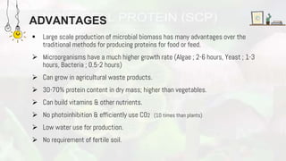 ADVANTAGES
 Large scale production of microbial biomass has many advantages over the
traditional methods for producing proteins for food or feed.
 Microorganisms have a much higher growth rate (Algae ; 2-6 hours, Yeast ; 1-3
hours, Bacteria ; 0.5-2 hours)
 Can grow in agricultural waste products.
 30-70% protein content in dry mass; higher than vegetables.
 Can build vitamins & other nutrients.
 No photoinhibition & efficiently use CO2 (10 times than plants)
 Low water use for production.
 No requirement of fertile soil.
 