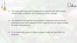  The single-cell protein must be dehydrated to approximately 10% moisture
content and/or acidified to aid in storage and prevent spoilage.
 The methods to increase the concentrations to adequate levels and the de-
watering process require equipment that is expensive and not always suitable
for small-scale operations.
 It is economically prudent to feed the product locally and soon after it is
produced
 
