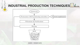 INDUSTRIAL PRODUCTION TECHNIQUES
[SOURCE – RESEARCH GATE]
 