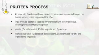 PRUTEEN PROCESS
 Attempts to develop methanol based processes were made in Europe, the
former society union, Japan and the USA.
 They involved bacterial species (Hyphomicrobium, Methylococcus,
Methylophilus and Methylotrophus),
 yeasts (Candida boidinii, Pichia angusta and P.pastorn)
 filamentous fungi (Gliocladium deliquescans, paecilomyces variotii and
Trichoderma linganus).
 