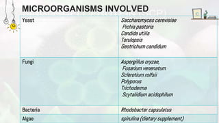 MICROORGANISMS INVOLVED
Yeast Saccharomyces cerevisiae
Pichia pastoris
Candida utilis
Torulopsis
Geotrichum candidum
Fungi Aspergillus oryzae,
Fusarium venenatum
Sclerotium rolfsii
Polyporus
Trichoderma
Scytalidium acidophilum
Bacteria Rhodobacter capsulatus
Algae spirulina (dietary supplement)
 