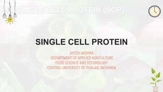 SINGLE CELL PROTEIN
AYUSH MISHRA
DEPARTMENT OF APPLIED AGRICULTURE
FOOD SCIENCE AND TECHNOLOGY
CENTRAL UNIVERSITY OF PUNJAB, BATHINDA
 