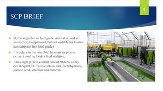 SCP BRIEF
 SCP is regarded as feed grade when it is used as
animal feed supplement, but not suitable for human
consumption (not food grade)
 It is refers to the microbial biomass or protein
extracts used as food or feed additive.
 It has high protein content (about 60-80% of dry
cell weight), SCP also contain fats, carbohydrates,
nucleic acid, vitamins and minerals.
4
 