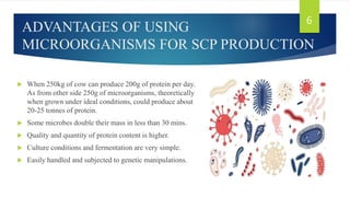 ADVANTAGES OF USING
MICROORGANISMS FOR SCP PRODUCTION
 When 250kg of cow can produce 200g of protein per day.
As from other side 250g of microorganisms, theoretically
when grown under ideal conditions, could produce about
20-25 tonnes of protein.
 Some microbes double their mass in less than 30 mins.
 Quality and quantity of protein content is higher.
 Culture conditions and fermentation are very simple.
 Easily handled and subjected to genetic manipulations.
6
 