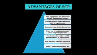 ADVANTAGES OF SCP
Have high protein, low fat content
and are good source of vitamin
Microbes produce useful byproducts
such as organic acids.
Generation time of microbes are less.
Waste can be used as a source for
carbon for growing microbes.
Certain microbes produce useful
byproducts such as organic acids.
High efficiency substrate conversion.
Doesn't require sophisticated lab.
 