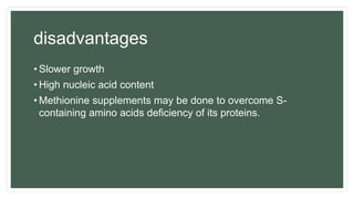 disadvantages
• Slower growth
• High nucleic acid content
• Methionine supplements may be done to overcome S-
containing amino acids deficiency of its proteins.
 