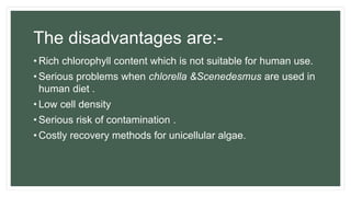 The disadvantages are:-
• Rich chlorophyll content which is not suitable for human use.
• Serious problems when chlorella &Scenedesmus are used in
human diet .
• Low cell density
• Serious risk of contamination .
• Costly recovery methods for unicellular algae.
 
