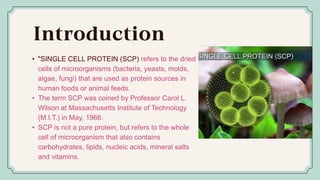 Single cell Protein(SCP), Introduction of SCP, Importance, types and ...