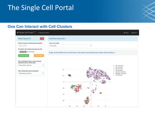 The Single Cell Portal
One Can Interact with Cell Clusters
 