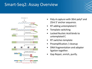 • Poly-A capture with 30nt polyT and
25nt 5' anchor sequence.
• RT adding untemplated C
• Template switching
• Locked Nucleic Acid binds to
untemplated C
• RT switches template
• Preamplification / cleanup
• DNA fragmentation and adapter
ligation together.
• Gap Repair, enrich, purify.
Smart-Seq2: Assay Overview
 