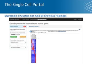 The Single Cell Portal
Expression in Clusters Can Also Be Shown as Heatmaps
 