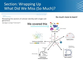 Section: Wrapping Up
What Did We Miss (So Much)?
So much more to learn!
We covered this
 
